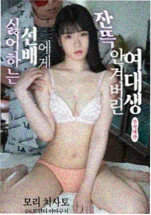 新视觉影剧集回声档案封面